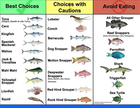 二月二十六釣魚魚喫什麼 魚有靈魂