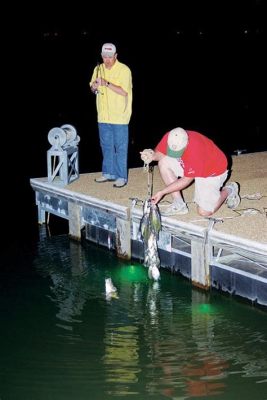 河邊釣魚用什麼釣魚燈？夜晚河岸邊的光影與心情的微妙交織